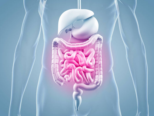 The Link Between Gut Health and Chronic Inflammation