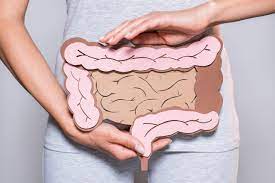 Leaky Gut Syndrome: Understanding Its Impact on Health in Modern Times