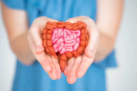 Your Gut Health Matters More Than You Think